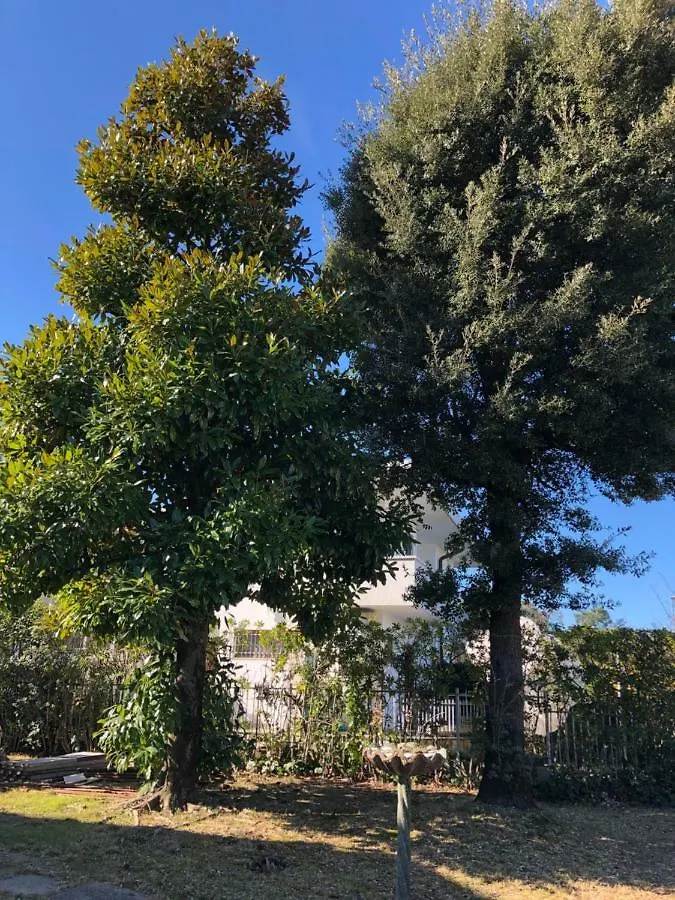 Ferienwohnung Gelso Tirrenia